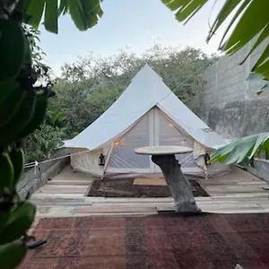  Campo de lujo Yurt In Avocado Garden